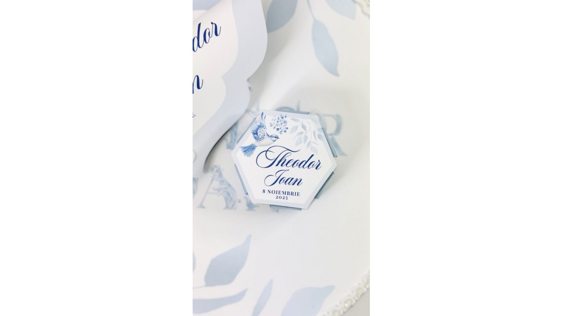 Trusou botez baietel Hot Air Balloon Blue Toile cu baloane de aer cald design elegant 27